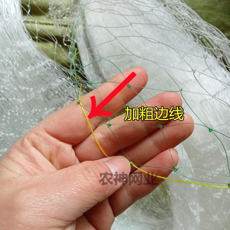 鱼塘尼龙防鸟网4厘米5厘米网眼10公分孔池塘泥鳅青蛙龙虾养殖天网,淘宝优惠券,粉丝福利购,淘宝优惠卷