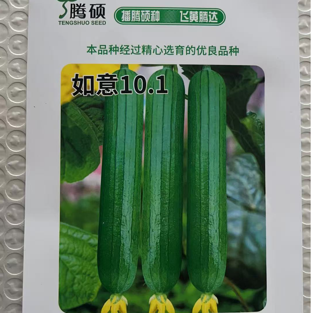 如意101丝瓜种子碧美人油皮丝瓜种子香丝瓜种子丝瓜种子四季高产,淘宝优惠券,粉丝福利购,淘宝优惠卷