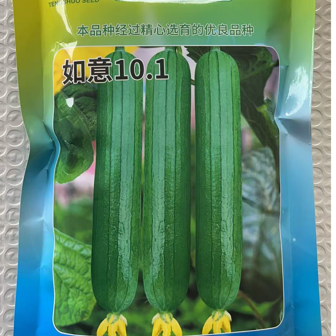 如意101丝瓜种子碧美人油皮丝瓜种子香丝瓜种子丝瓜种子四季高产,淘宝优惠券,粉丝福利购,淘宝优惠卷