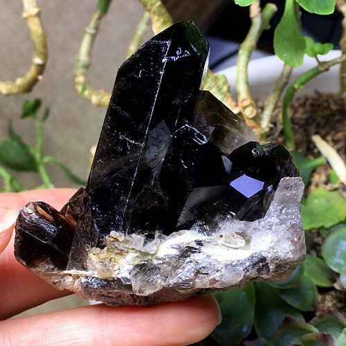 天然黑水晶簇原石原矿黑色水晶柱家居客厅办公桌摆件把玩一物一图 - 图0