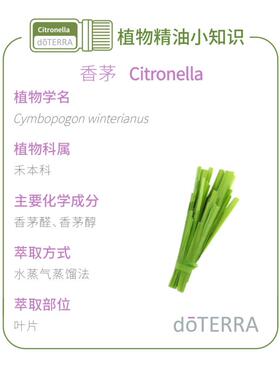 多特瑞香茅香薰精油15ml