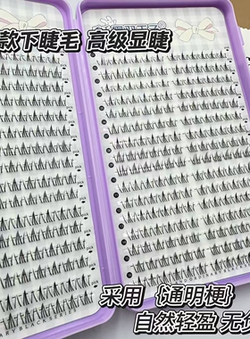 貂蝉拜月下睫毛新款仿真嫁接