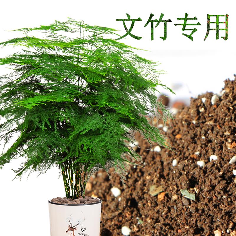 盆栽用肥料推荐品牌 新人首单立减十元 21年6月 淘宝海外