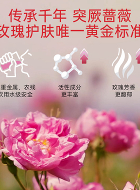 Rosever大马士革玫瑰酵母精华露滋养肌肤补水紧致细【临期】