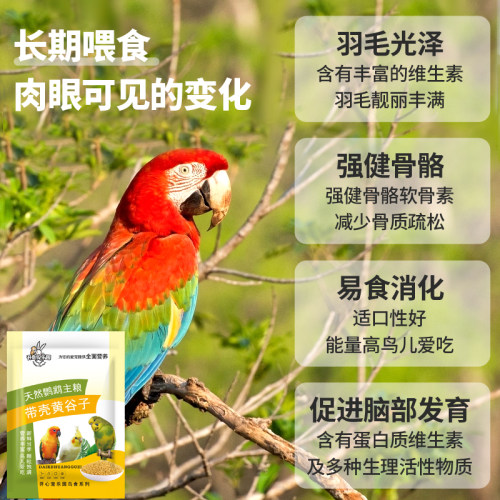 虎皮鹦鹉饲料玄凤牡丹小太y混合鸟食粮食带壳黄谷子食物鸟粮一斤 - 图3
