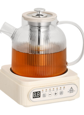 养生壶多功能家用小型办