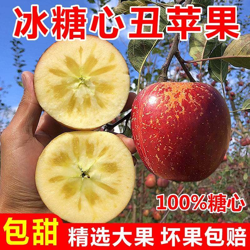 现摘10斤脆甜大凉山特产泸沽湖盐源野生冰糖心丑苹果红将军非云南