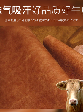 日本哥伦布斯columbus枥木皮鞋垫
