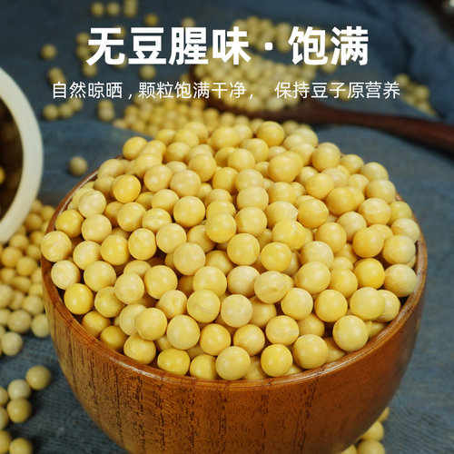 东北有机黄豆2025新豆非转基因黄豆打豆浆专用豆浆豆东北大豆2斤 - 图2