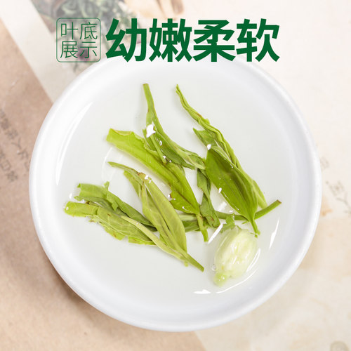 2026浓香型特级茉莉花茶叶飘雪茶叶散装罐装广西横县银针毛尖绿茶 - 图3