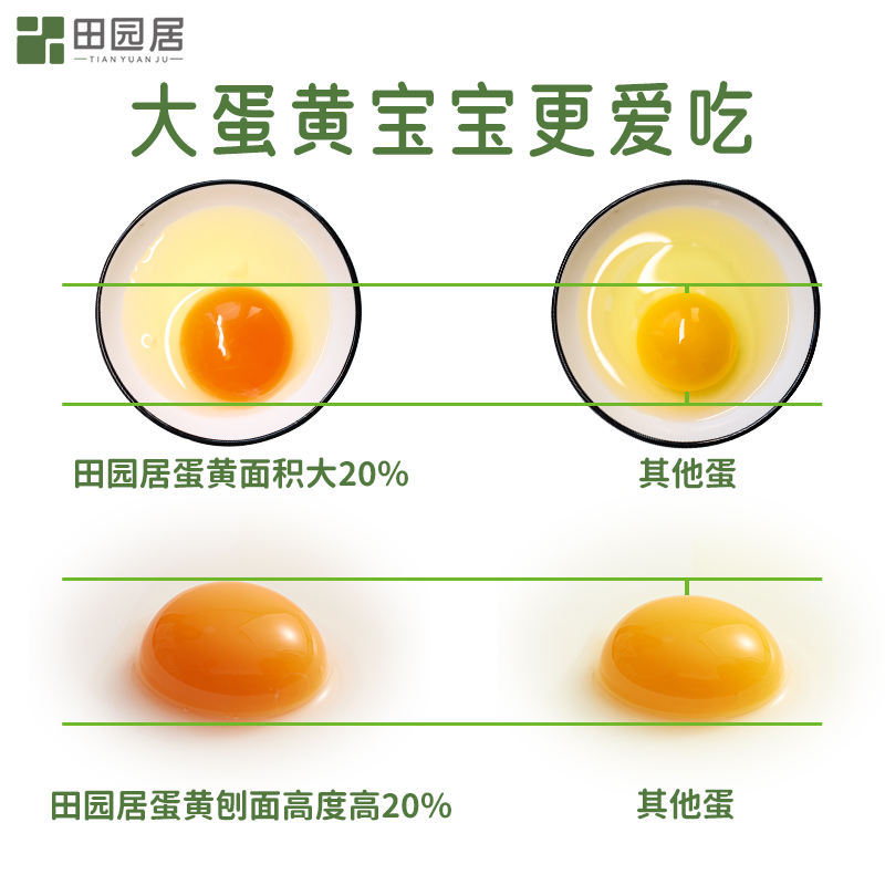 【年中狂欢节】田园居鸡蛋45g*10枚新鲜散养土鸡蛋农家正宗草鸡蛋 - 图0