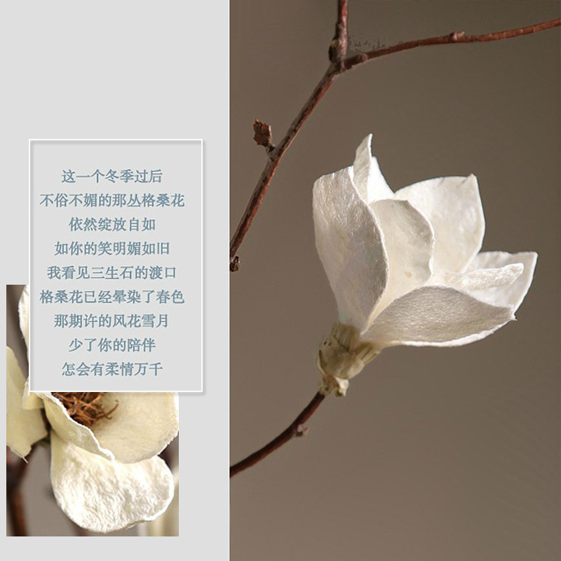 北欧玉兰花长枝干花大号花束落地天然干树枝手工干花开放格玄关柜 - 图2