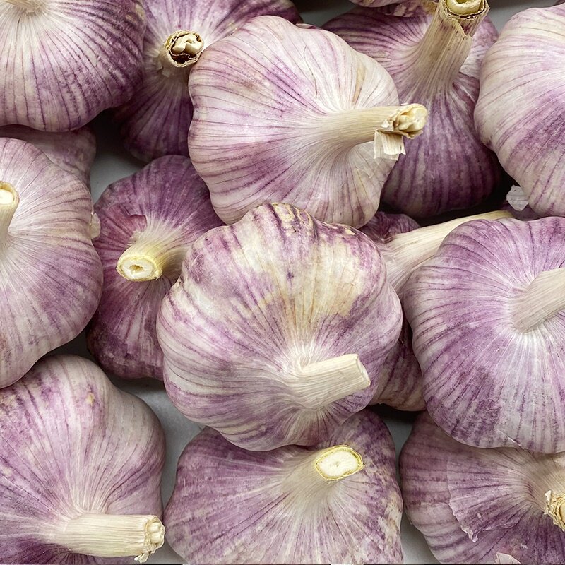 9斤新干蒜5斤大蒜头新鲜蔬菜种籽干大蒜河南大祘批发3/10斤紫皮蒜_虎窝淘