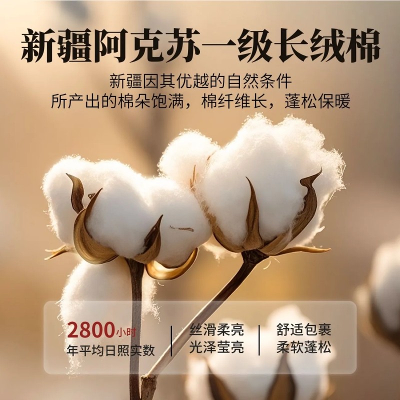 新疆棉花被棉被100%一级纯棉花全棉被芯棉絮床垫被褥子加厚秋冬被,淘宝优惠券,粉丝福利购,淘宝优惠卷