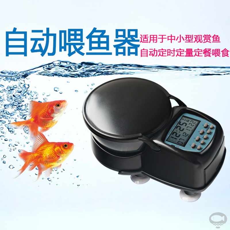 自动喂鱼器全小 新人首单立减十元 22年1月 淘宝海外 自动喂鱼器全小 新人首单立减十元 22年1月 淘宝海外