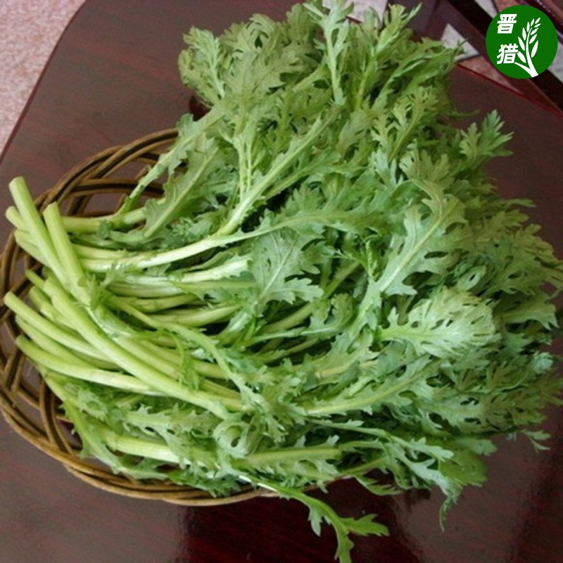 皇帝菜中叶茼蒿种子青菜种籽春菊菜种农家菜籽阳台籽种四季蔬菜孑-图2