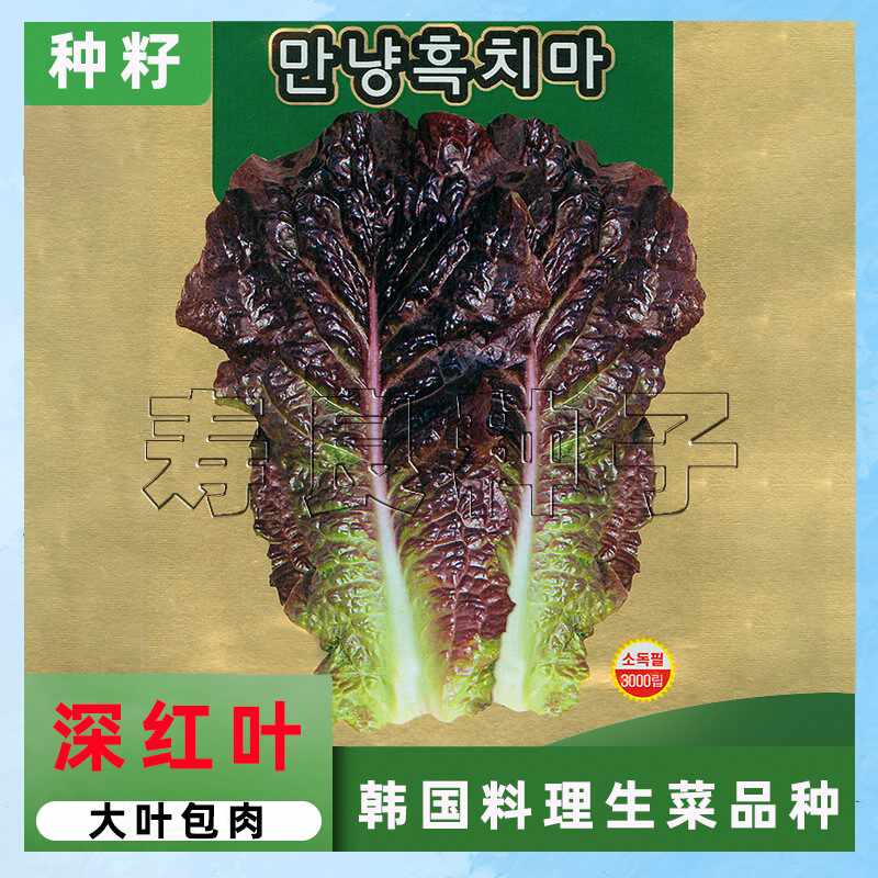 肉肉的种子 新人首单立减十元 21年8月 淘宝海外