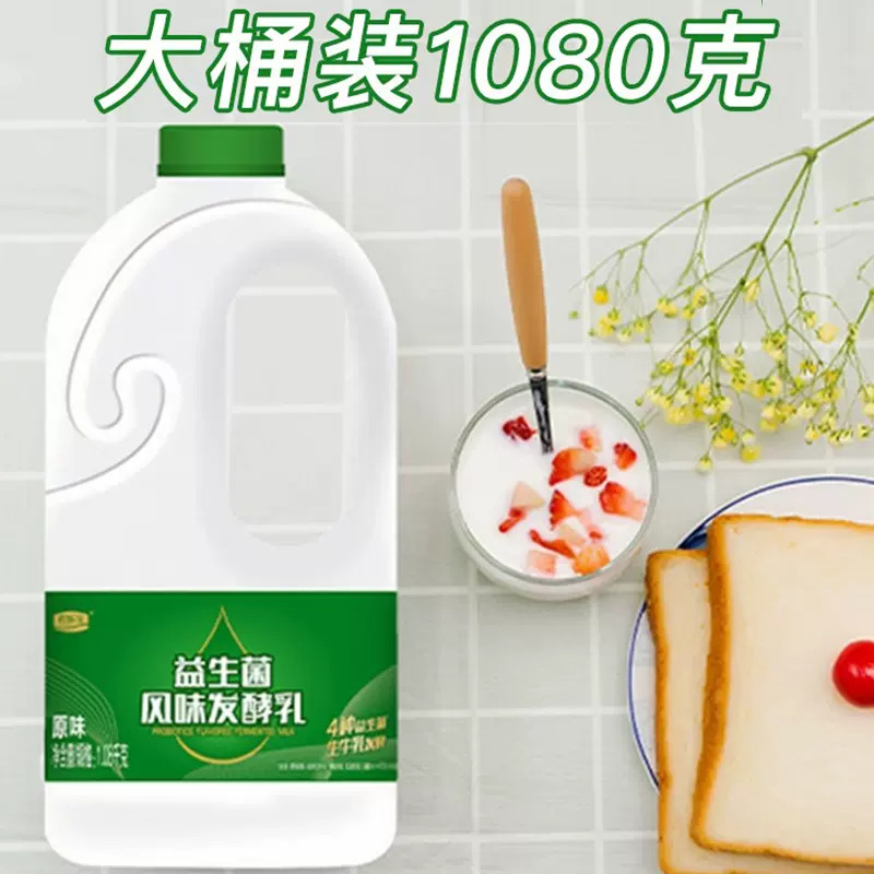 君乐宝益生菌酸奶原味风味发酵乳大桶装早餐酸牛奶瓶装整箱 - 图2