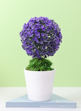 仿真植物盆栽小树草球盆景家居装饰花摆件创意迷你小圆球樱雪球