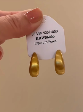 纯银拉丝耳环2026新款爆款高级感