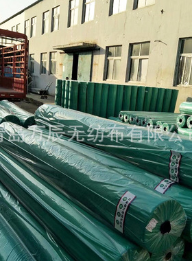 盖土网无纺布 墨绿色防寒布 树木过冬保温地膜布工程绿化无纺布