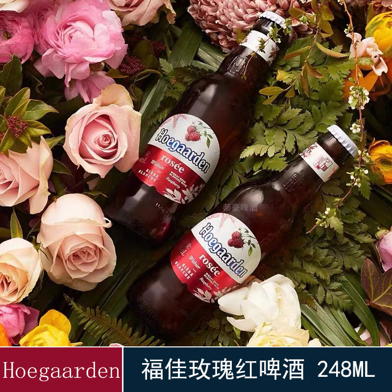 福佳玫瑰红Hoegaarden 比利时风味精酿果啤248ml*6瓶装 - 图0