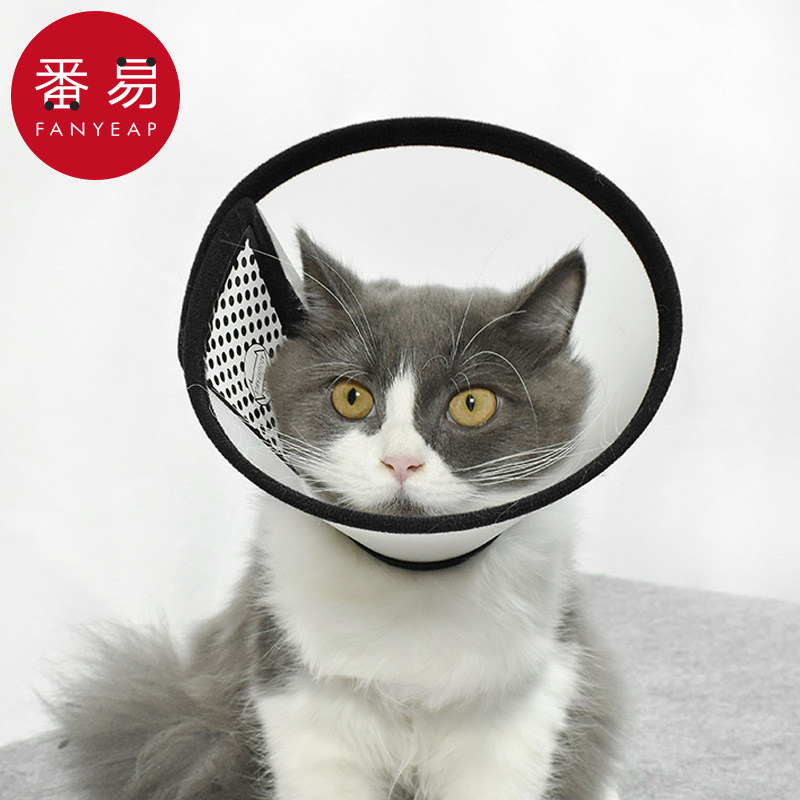 伊丽莎白圈A1zfq001-猫咪套项圈宠物罩头套罩术后防舔咬防,淘宝优惠券,粉丝福利购,淘宝优惠卷