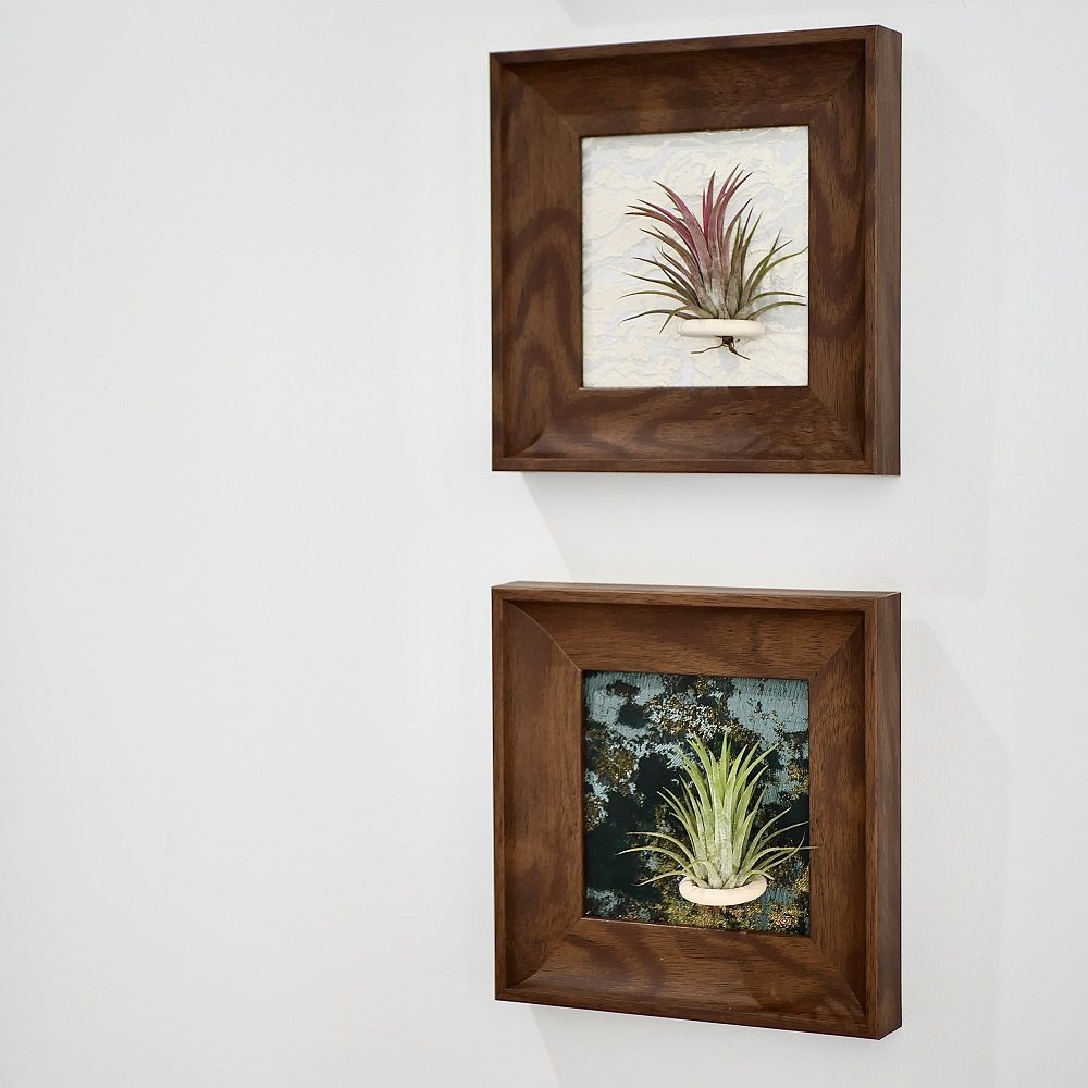 法式空气凤梨相框壁画软装绿植现代装饰画客厅卧室办公室挂画摆件,淘宝优惠券,粉丝福利购,淘宝优惠卷