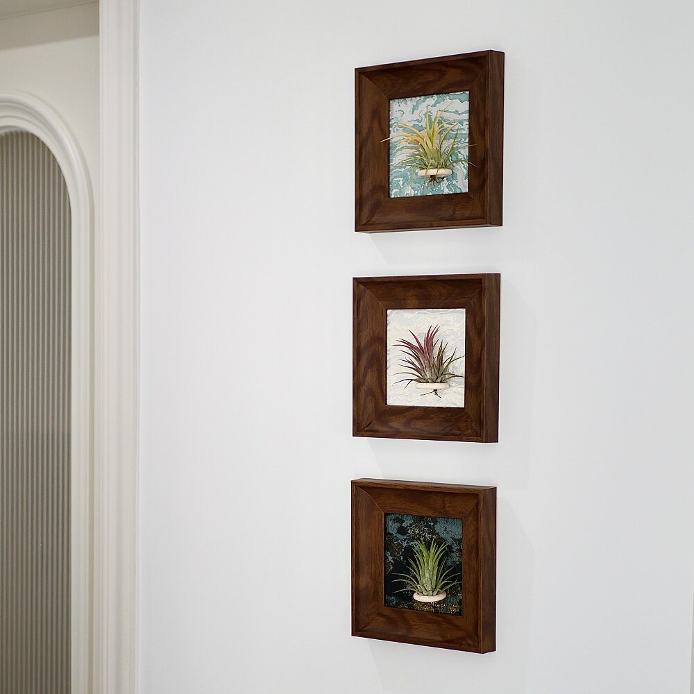 法式空气凤梨相框壁画软装绿植现代装饰画客厅卧室办公室挂画摆件,淘宝优惠券,粉丝福利购,淘宝优惠卷