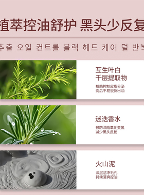 持久控油去黑头火山泥洗面奶