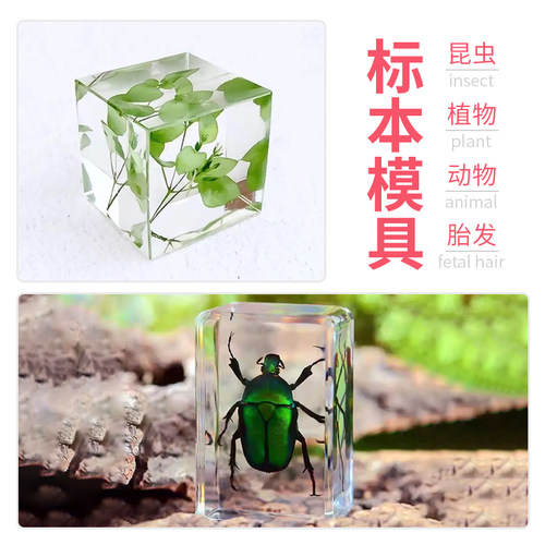手工昆虫标本滴胶diy材料制作硅胶模具工具套装 - 图1