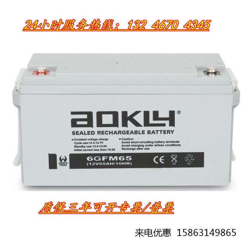 AOKLY奥克莱蓄电池6GFM55免维护12V55AH直流屏UPS/EPS电源 太阳能 - 图1