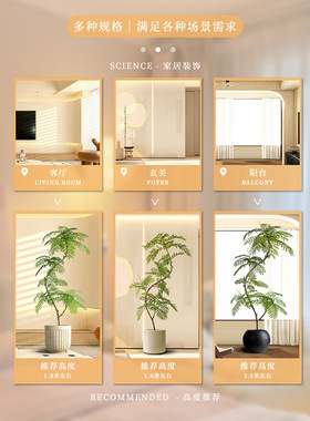 仿真绿植蓝花楹落地盆栽室内大型
