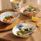 Cookzone ceramic Japanese retro side dish