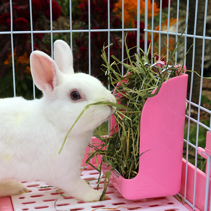 兔食盆兔子龙猫食物盆兔碗豚鼠固定食盒喂草神器二合一弹簧草架-图2