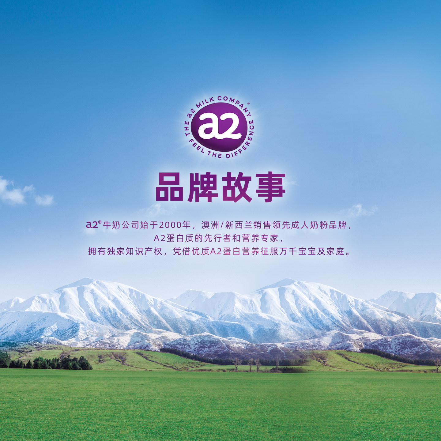 【自营】a2多维高钙乳铁蛋白奶粉A2蛋白中老年全家营养紫吨吨奶粉