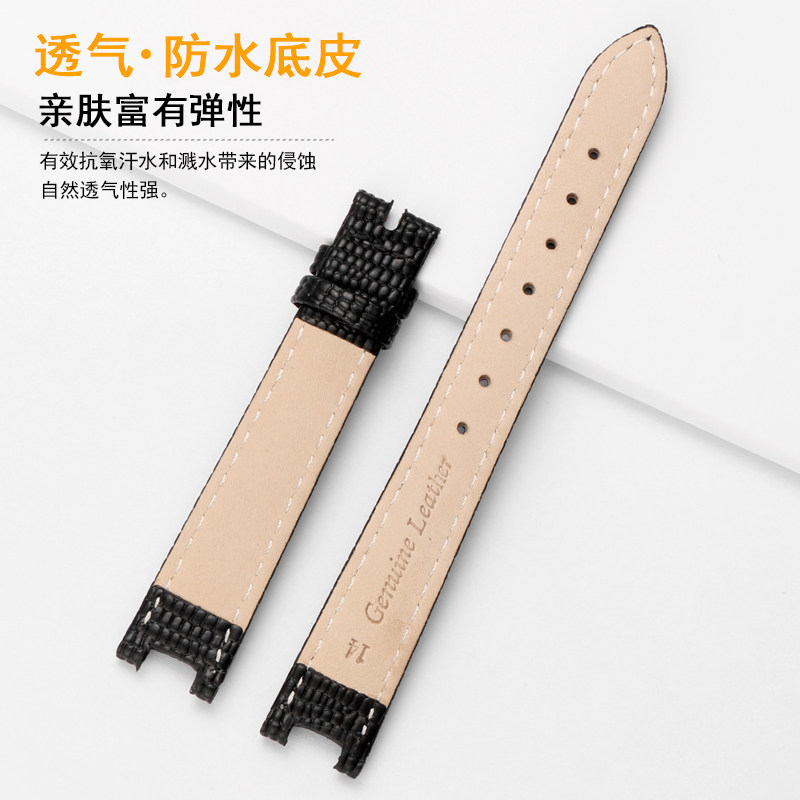 适配卡西欧sheen系列劳士顿女皮带 蔻侣配件