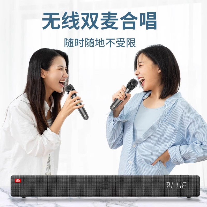 Singba Arena L1 Family KTV Set Karaoke