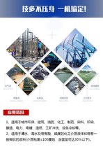 Japan Buy 4849 Pahl True Fourth of 96 Edition RMBone Two Lido