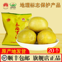 Yongfu grosvenori Guangxi Guilin Special production low temperature dehydrated grosvenori Qianfruits Qianqi Qiandian Shop