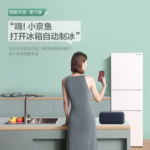 PANASONIC NR-JS30AX1-W/XC30A2A/XC30GJB松下三门冰箱300L制冰机 - 图2