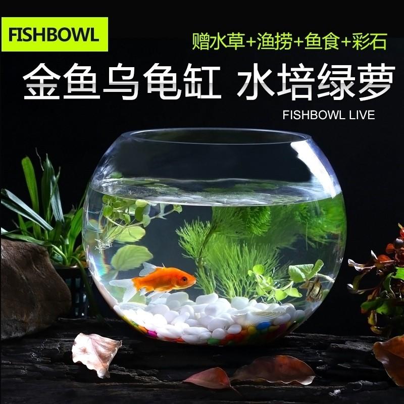 花瓶子玻璃透明金鱼推荐品牌 新人首单立减十元 21年6月 淘宝海外