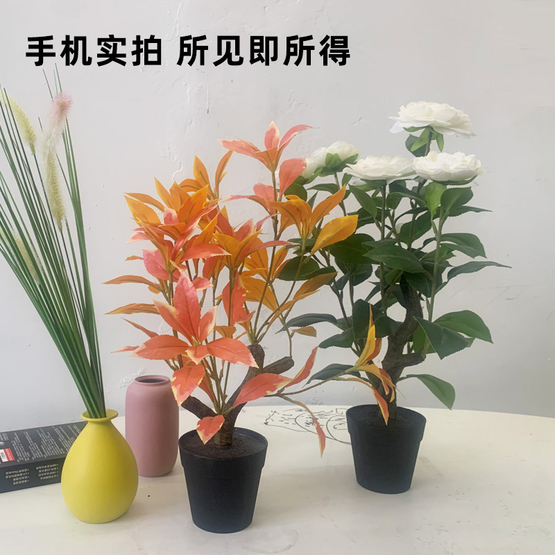 仿真盆栽室内豆瓣小盆栽塑料假花植物装饰客厅桌面小摆件人造绿植-图0