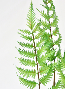 仿真3叉锯齿叶室内装饰绿植散尾葵家居配花植物叶摄影道具