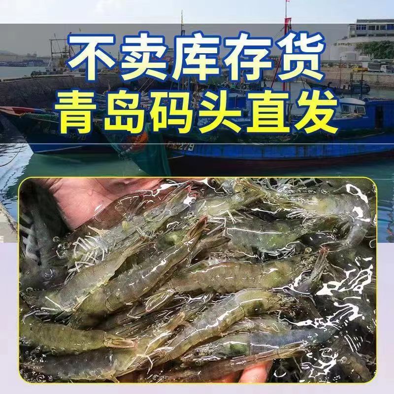 大虾鲜活超大基围虾青岛海捕特大虾新鲜速冻海虾对虾海鲜水产盐冻 - 图1