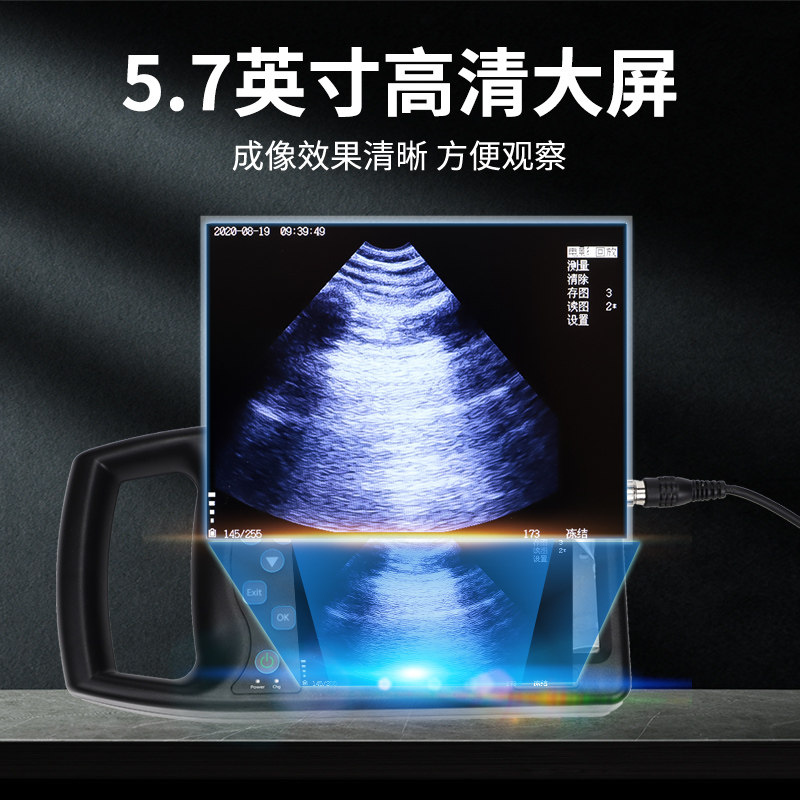 猪博士兽用B超机羊牛用b超母猪测孕仪宠物比超机超声波彩超检孕,淘宝优惠券,粉丝福利购,淘宝优惠卷