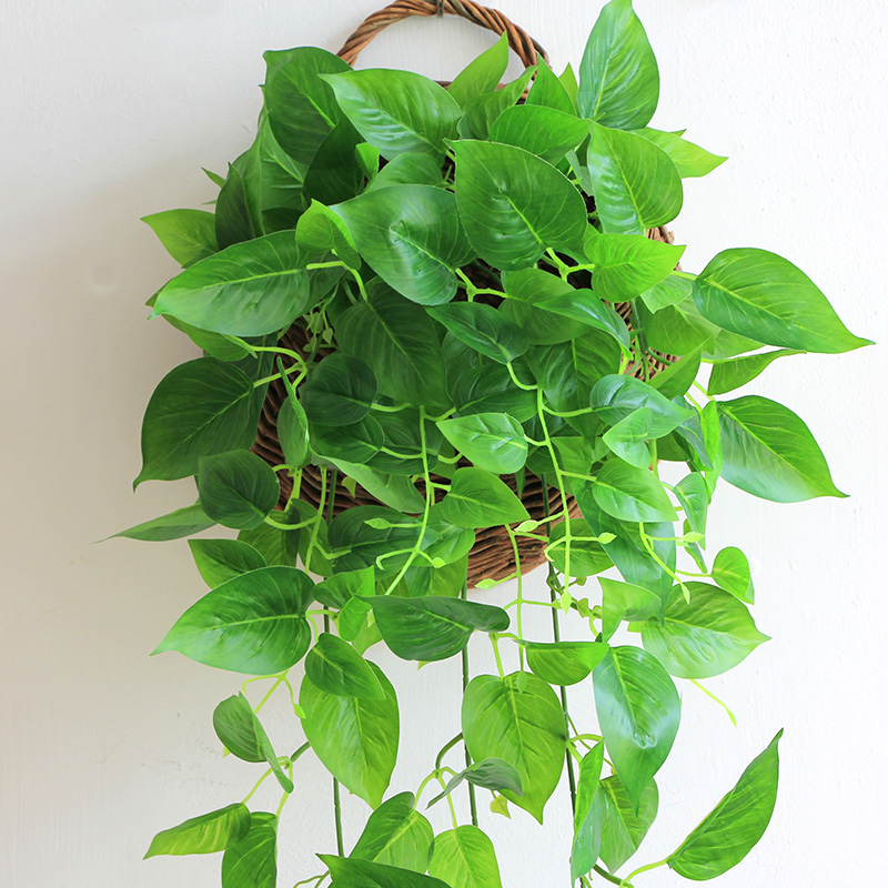 仿真绿萝客厅挂墙绿植壁挂植物装饰垂吊假花墙上塑料叶子吊兰吊篮 - 图0