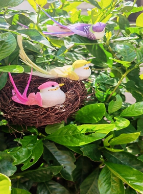 装饰小鸟仿真长尾羽毛