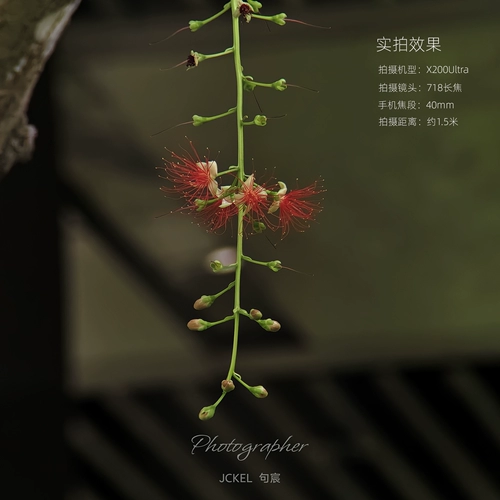 句宸 Телефотовая линза мобильного телефона телеобъектива 350 мм эквивалентное фокусное расстояние 718 Концерт телескопа соревнование на длинные расстояния