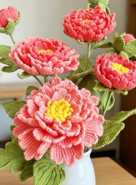 牡丹花钩织材料包手工花